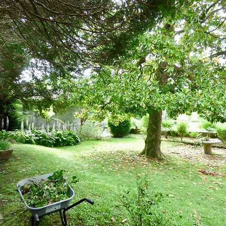 Stella Apartment Salies-de-Bearn